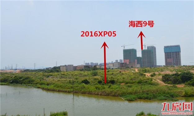 铭记这一天！厦门楼市最后底线被刺穿！8月厦门土拍创×亿新高，房价还要飞上天！——九房网