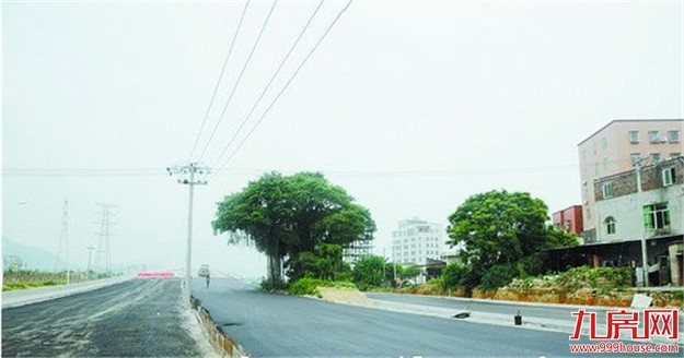 国道324复线(同安大道-马巷段)已全线贯通 九八前具备通车条件——九房网 国道324复线(同安大道-马巷段)已全线贯通 九八前具备通车条件——九房网