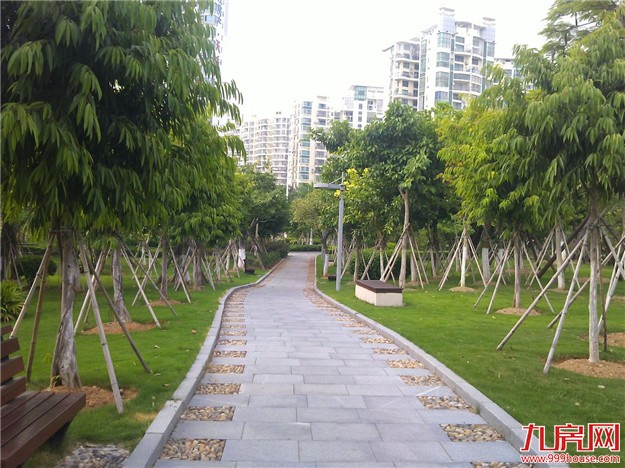 福建新规：城市公园一律免费开放 严禁在园内设立私人会所——九房网