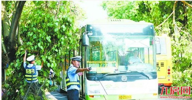 厦门主要公路干道恢复通车 公交线路恢复运营——九房网