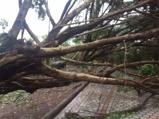 建发：风雨同舟、众志成城！呵护钻石人生！——九房网