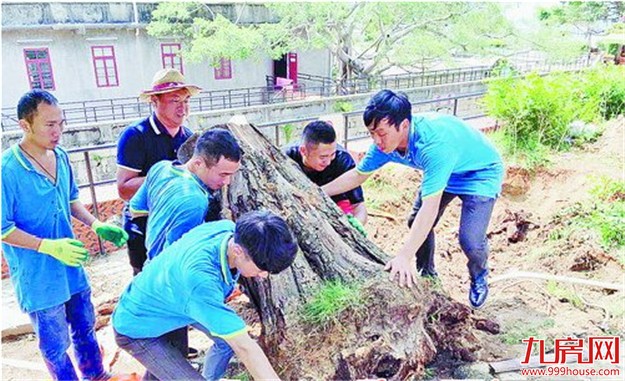 胡里山炮台今日迎客 截至20日厦开放A级景区已达7个——九房网