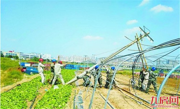 电网毁灭性重创 抢修工作极其艰巨 厦门电网支援队伍昨再增千人——九房网