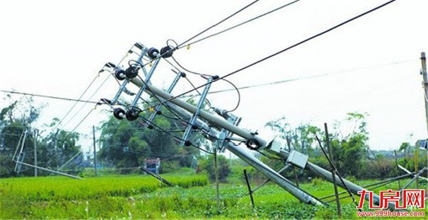 电网毁灭性重创 抢修工作极其艰巨 厦门电网支援队伍昨再增千人——九房网