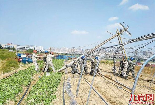又有千余人入厦支援电力抢修 同安、翔安等正全面开展大会战——九房网