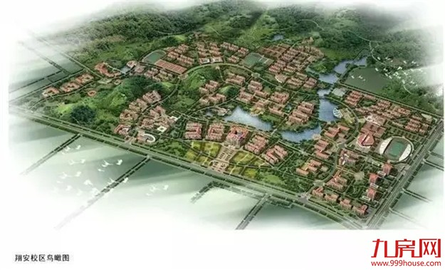 厉害哟!厦门又得了一个“中国前十”!!——九房网 厉害哟!厦门又得了一个“中国前十”!!——九房网