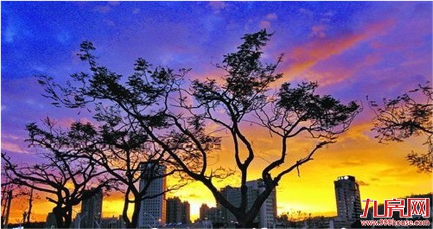 “鲇鱼”今日将带来大风暴雨 厦门启动防台风Ⅱ级应急响应——九房网