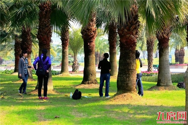 厦门九成公园已具备开园条件 前往游玩须注意安全——九房网