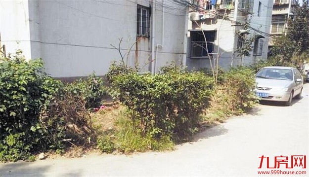 小区绿地被私自硬化 居委会回应会调查改造——九房网