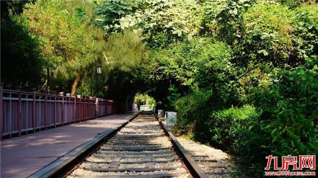 我市园林绿化重建提升方案出炉 重点项目明年9月完成——九房网