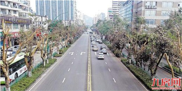 裴金佳：加快灾后恢复重建 全力筹备金砖峰会——九房网