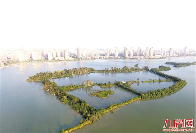 园博苑明年元旦将再度开放 近期还启动了观鸟长廊、木栈道改造——九房网