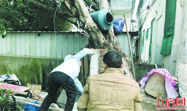 思明推进“两违”集中整治 城中村除旧貌老城区展新颜——九房网