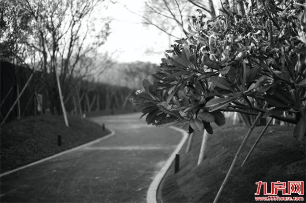 半岛示范区方案，首次公布，诠释何谓隐秘与伟大。——九房网