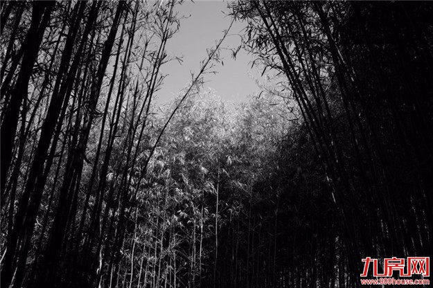 一支车队，悄悄驶入环岛路35号... &nbsp;——九房网