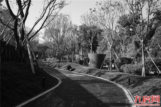 一支车队，悄悄驶入环岛路35号... &nbsp;——九房网