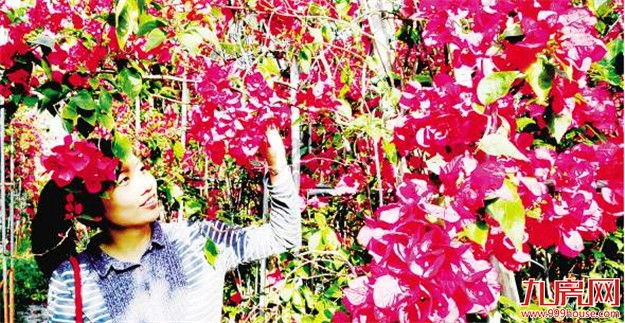 厦门再发力灾后重建 明年八月重点道路完成“换装”——九房网