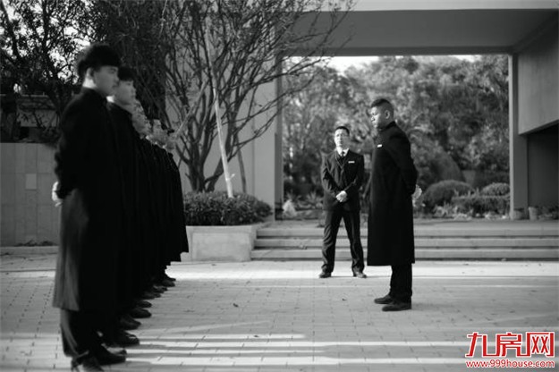 那一年，雪山下发生了一场“连锁效应”...——九房网