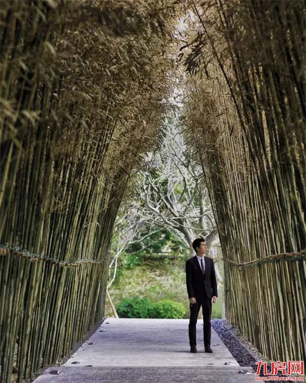 那一年，雪山下发生了一场“连锁效应”...——九房网