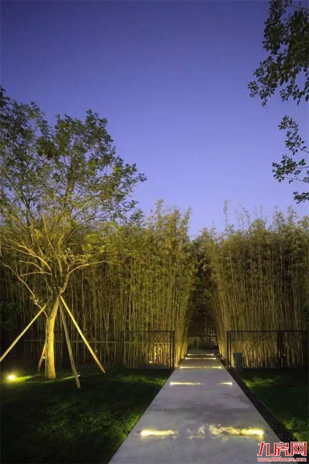 那一年，雪山下发生了一场“连锁效应”...——九房网