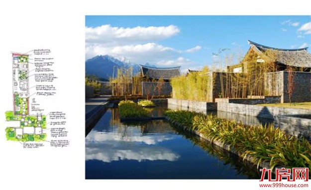 那一年，雪山下发生了一场“连锁效应”...——九房网