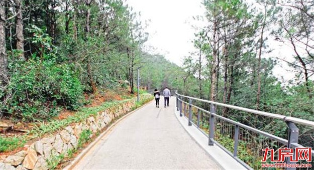 大屏山环山步道建成投用 步道主要景点有免费wifi——九房网
