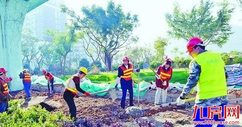 厦15条主干道绿化重建基本完成 下一步将精细化提升——九房网