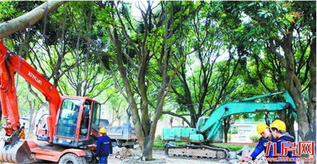 厦门房产,厦门房地产,厦门新房,九房网,厦门房产