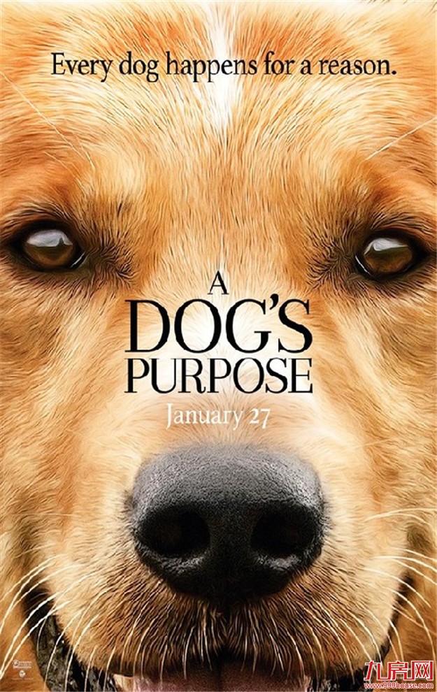 3月电影榜单新鲜出炉！电影钱你攒够了吗？——九房网