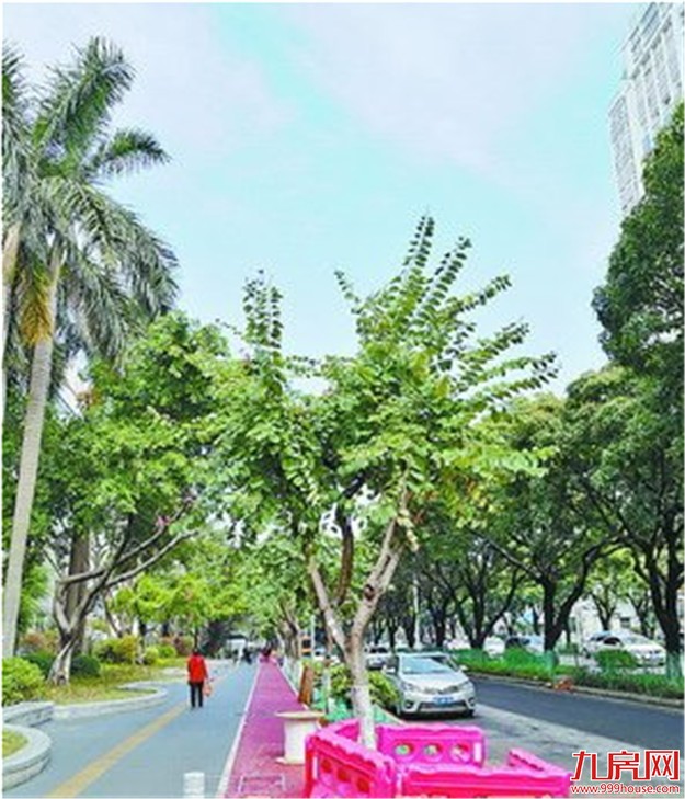 厦门房产,厦门房地产,厦门新房,九房网,厦门房产