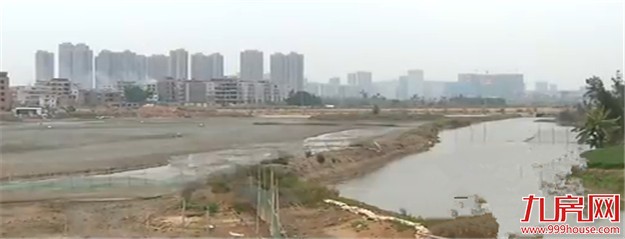 厦门有超三万多公顷湿地 现面临面积不断缩小的困境——九房网