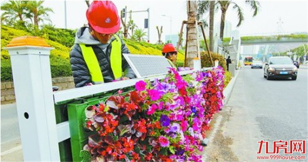 智能生态植物护栏首现湖滨西路 打造厦门崭新的绿化名片——九房网