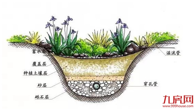 马銮湾，厦门海绵城市重点打造区域！——九房网