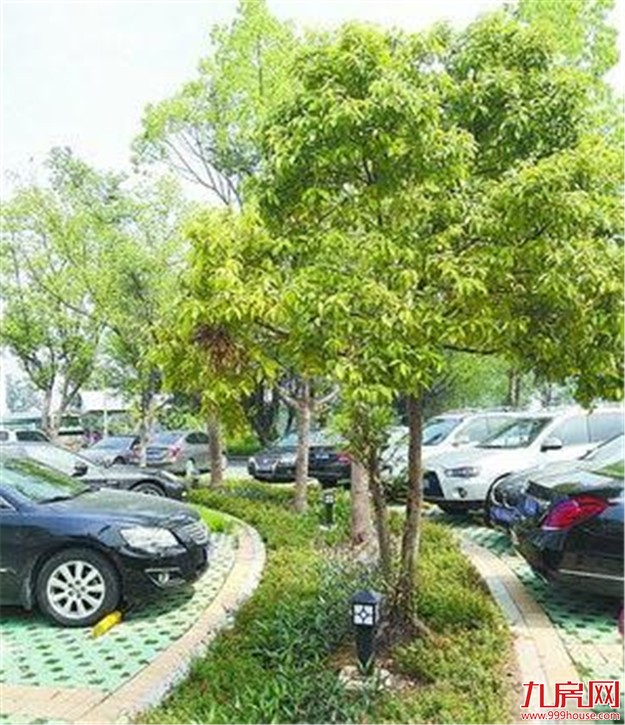 厦门房产,厦门房地产,厦门新房,九房网,厦门房产