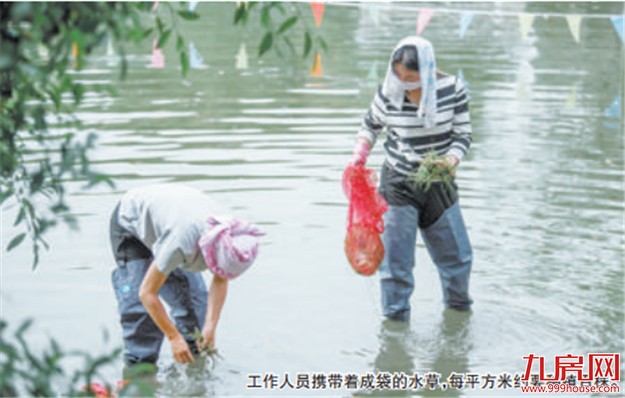 改造提升工作顺利推进 百年中山公园下月底全新亮相——九房网