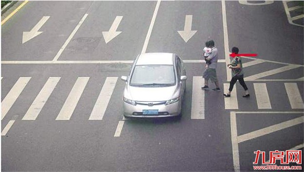 厦日均41起“机动车不让行人”被拍 斑马线上撞人司机或担全责——九房网 厦日均41起“机动车不让行人”被拍 斑马线上撞人司机或担全责——九房网