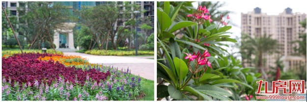 中骏·四季阳光:三期77-97m²压轴三房 开盘劲销——九房网