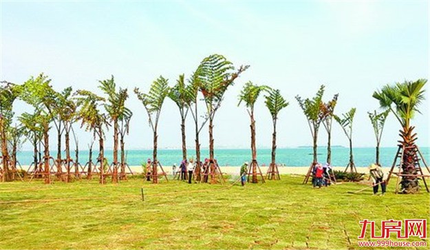 同安滨海旅游浪漫线亮出艳容  一期长约7.9公里——九房网
