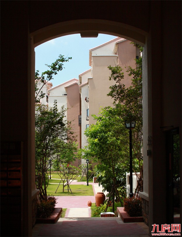  照亮海西的艺术家 闪耀百年的理想之光——九房网