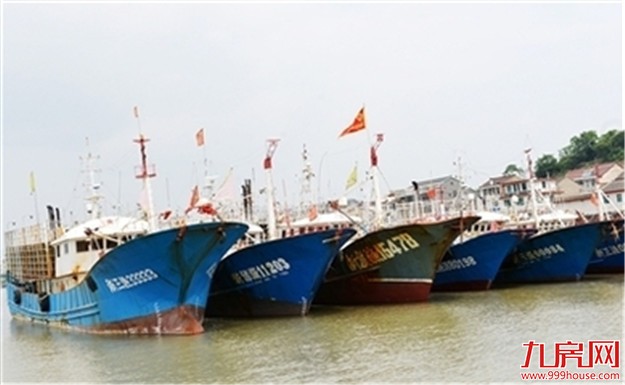 厦门伏季休渔开始 今年调整最大——九房网