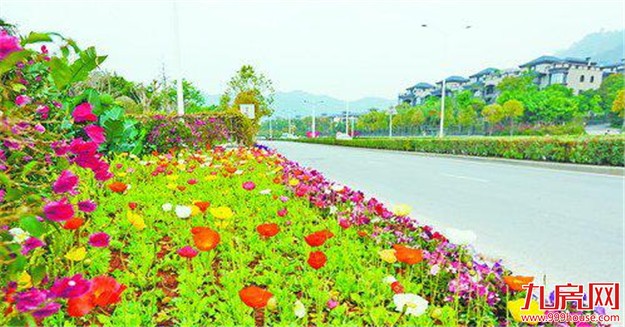 厦门岛内多条主要道路进行彩化花化 提升城市景观——九房网 厦门岛内多条主要道路进行彩化花化 提升城市景观——九房网