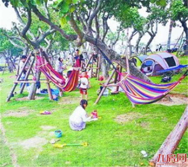 游客在环岛路绿化带上搭吊床 短短50米就有8床——九房网