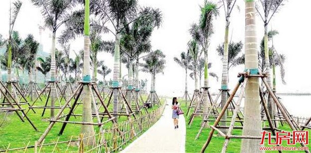 滨海旅游浪漫线示范段现雏形 红树林湿地工程已开建——九房网