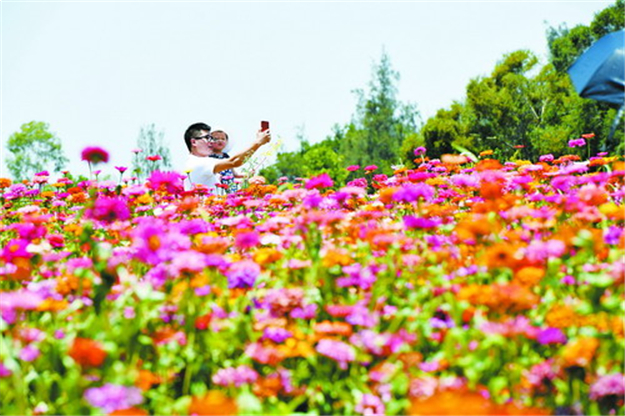 厦门房产,厦门房地产,厦门新房,九房网,厦门房产