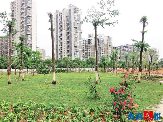 同安今年新增两大主题公园 雪樵公园月底基本完工——九房网