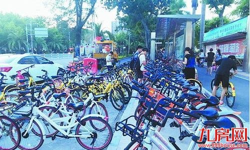 共享单车“围攻”公交车站 厦门市民被迫站马路候车存隐患——九房网