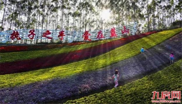 十里蓝山：音乐、露营、烧烤、花海...带上孩子来撒欢吧！——九房网