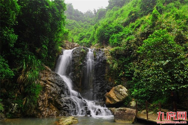 未来什么房子最一房难求？别说我没告诉你！——九房网