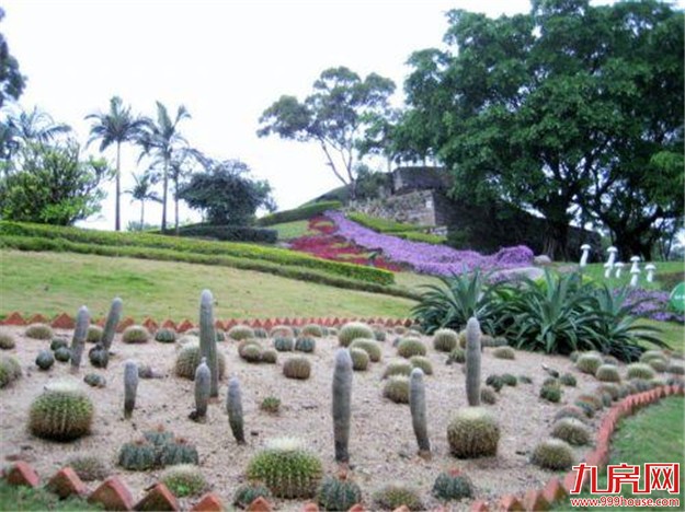 一周城建|厦门大波利好来袭！交通、教育、医疗都有新动作——九房网