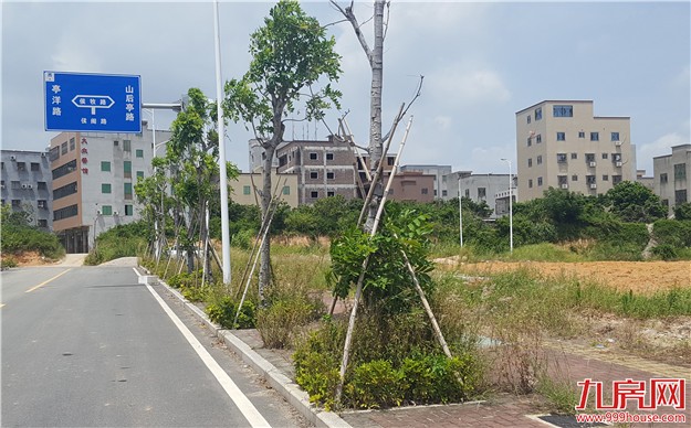 土拍快讯！拟9月15日拍卖的翔安区四块“待嫁”地！——九房网